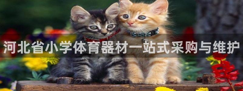 凯时国际官方版：河北省小学体育器材一站式采购与维护