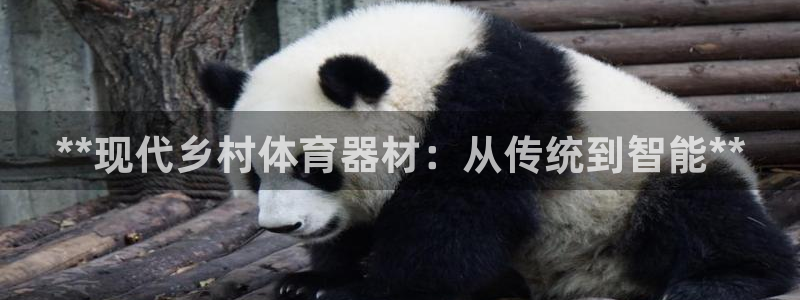 凯时平台登录：**现代乡村体育器材：从传统到智能**