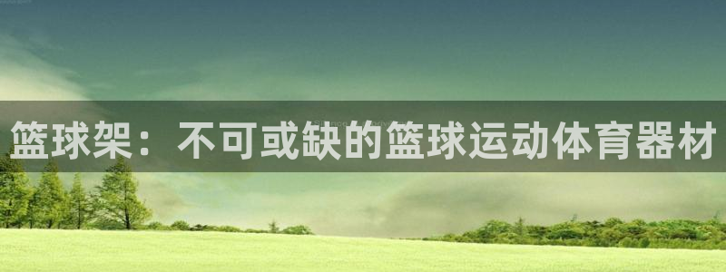 尊龙凯时取款不成功：篮球架：不可或缺的篮球运动体育器