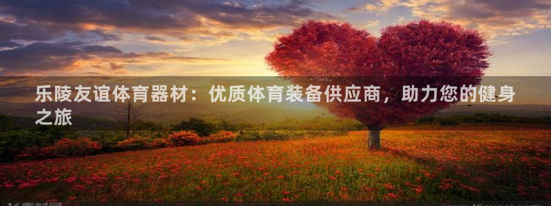 尊龙网站 人生就是博：乐陵友谊体育器材：优质体育装备