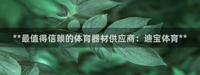 尊龙游戏官方网：**最值得信赖的体育器材供应商：迪宝