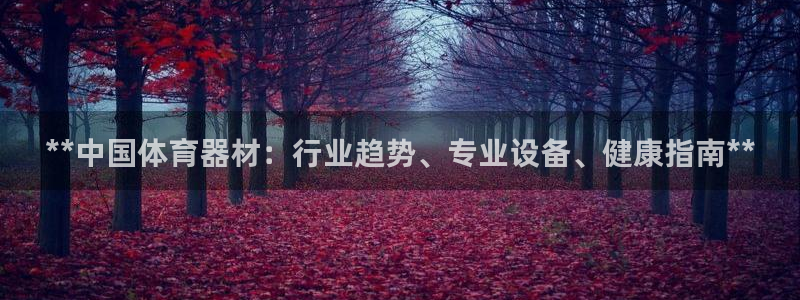 尊龙百度百科：**中国体育器材：行业趋势、专业设备、