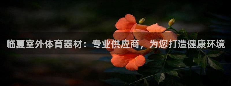 尊龙凯时logo：临夏室外体育器材：专业供应商，为您