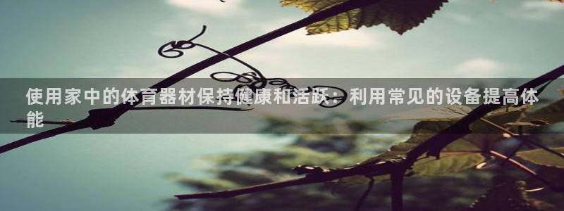 尊龙d88平台：使用家中的体育器材保持健康和活跃：利