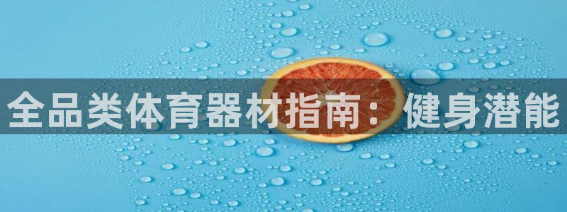 d88尊龙官方网：全品类体育器材指南：健身潜能
