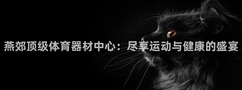 尊龙凯时网站赌愽是真的吗：燕郊顶级体育器材中心：尽享