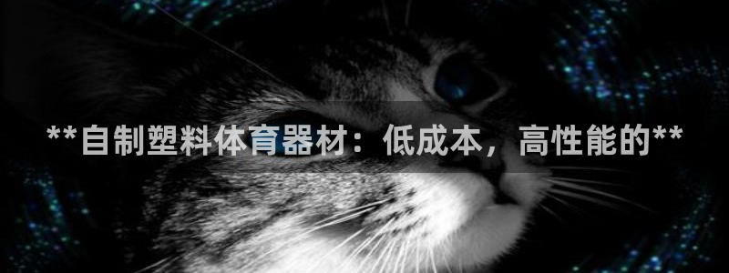 尊龙网址是多少：**自制塑料体育器材：低成本，高性能