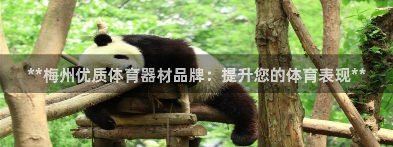 尊龙凯时能提现吗：**梅州优质体育器材品牌：提升您的