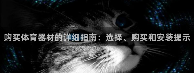 尊龙凯时网站网址：购买体育器材的详细指南：选择、购买