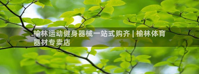 尊龙d88会员：榆林运动健身器械一站式购齐 | 榆林