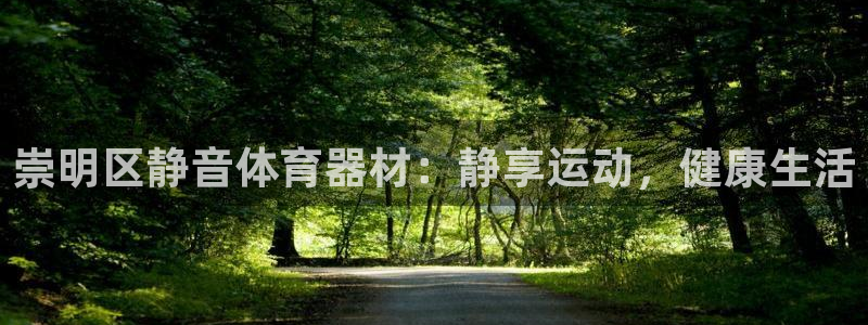 d88尊龙手机登录下载：崇明区静音体育器材：静享运动