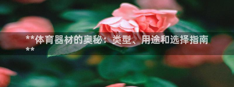 尊龙凯时平台官网：**体育器材的奥秘：类型、用途和选