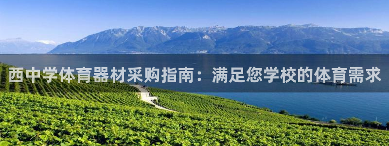 凯时k66会员登录：西中学体育器材采购指南：满足您学