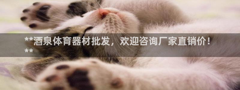 尊龙凯时登入首页：**酒泉体育器材批发，欢迎咨询厂家