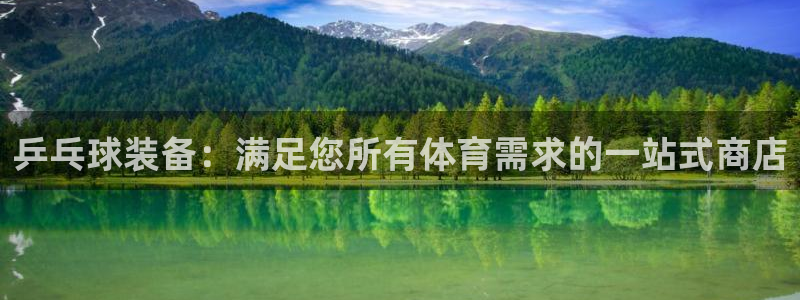 尊龙得过奥斯卡吗：乒乓球装备：满足您所有体育需求的一