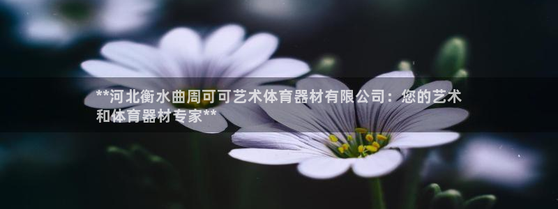 凯时国际app登录：**河北衡水曲周可可艺术体育器材