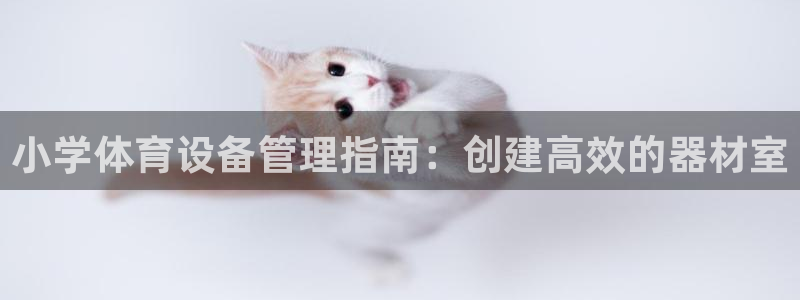 尊龙手机端下载：小学体育设备管理指南：创建高效的器材