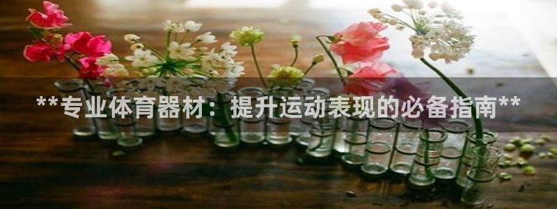 凯时游戏官方网站：**专业体育器材：提升运动表现的必