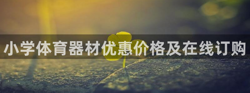 尊龙凯时代理官网入口：小学体育器材优惠价格及在线订购