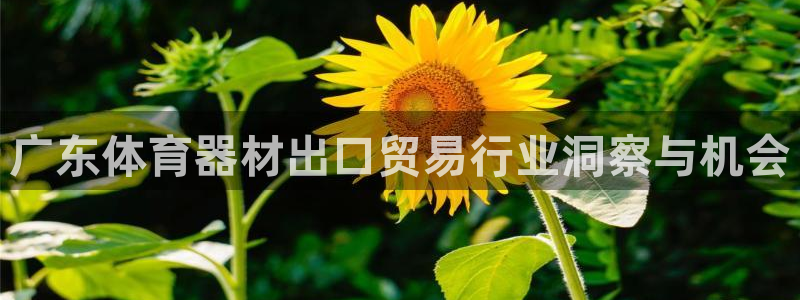 尊龙凯时人生就是博中国官网：广东体育器材出口贸易行业