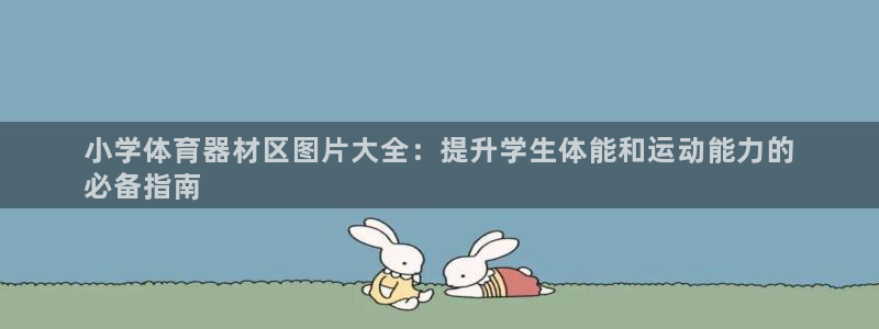 凯时登录首页,凯时K66：小学体育器材区图片大全：提