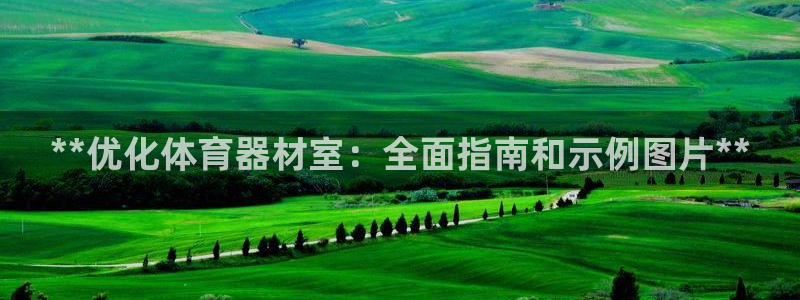 凯时a88：**优化体育器材室：全面指南和示例图片*