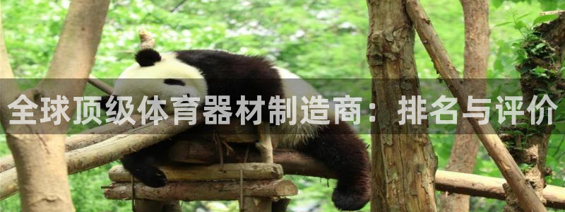 尊龙人生就是博AG旗舰厅：全球顶级体育器材制造商：排