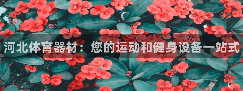 尊龙凯时赞助：河北体育器材：您的运动和健身设备一站式
