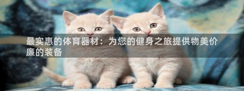 凯时app赢AG发财网来就送38：最实惠的体育器材：