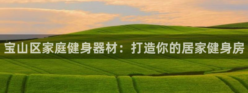 尊龙一生也走不出自己的童年：宝山区家庭健身器材：打造