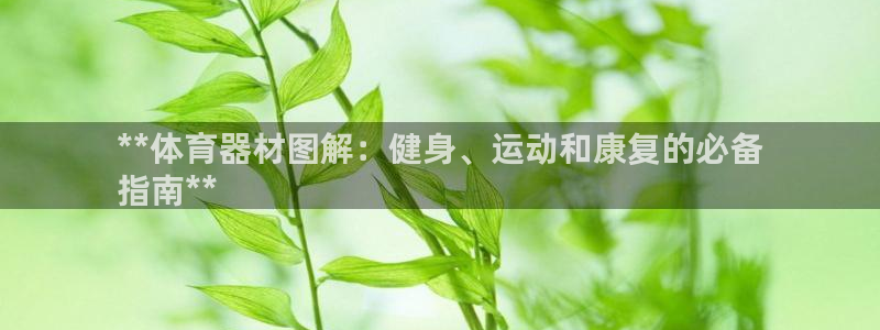 尊龙凯时平台怎么样：**体育器材图解：健身、运动和康
