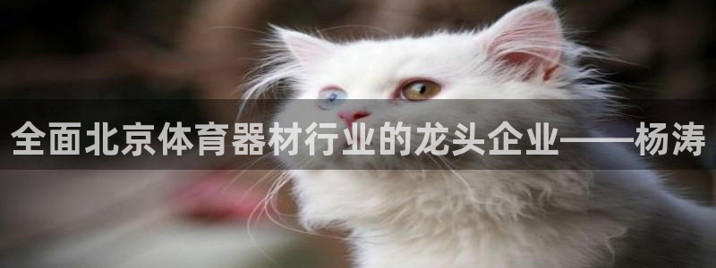 尊龙凯时ag旗舰厅登陆：全面北京体育器材行业的龙头企