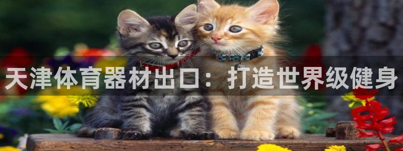 z6尊龙z6：天津体育器材出口：打造世界级健身