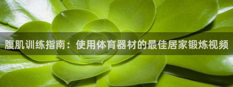 Z6尊龙凯时登录：腹肌训练指南：使用体育器材的最佳居