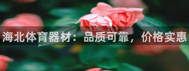 尊龙ag旗舰厅登录 租车app下载：海北体育器材：品