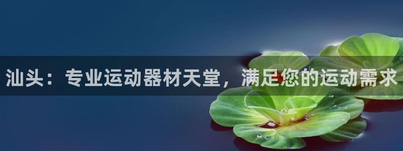 尊龙官网网站：汕头：专业运动器材天堂，满足您的运动需