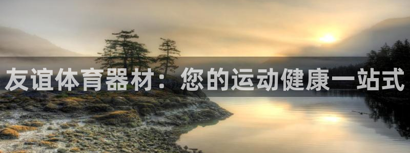 尊龙新版App下载：友谊体育器材：您的运动健康一站式