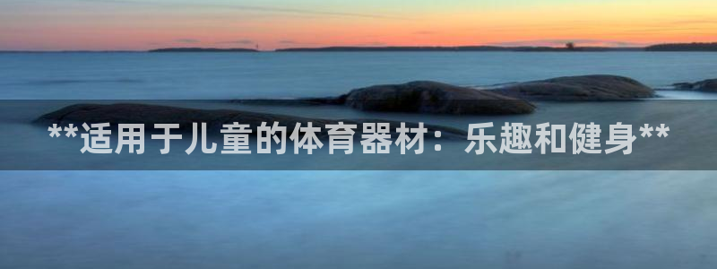 尊龙D88现金旧版：**适用于儿童的体育器材：乐趣和