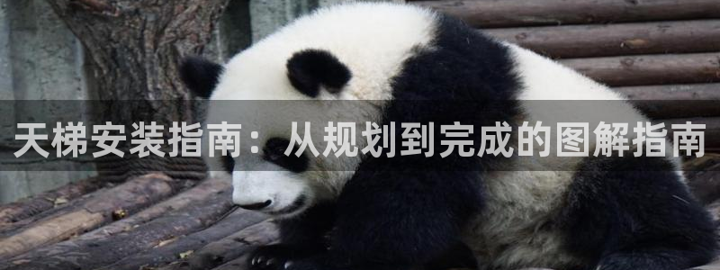 尊龙t400和尊龙t300区别：天梯安装指南：从规划