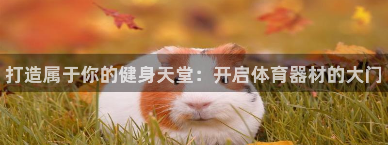 尊龙人生就是博一下下：打造属于你的健身天堂：开启体育