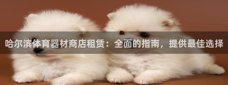 尊龙凯时不给提款：哈尔滨体育器材商店租赁：全面的指南