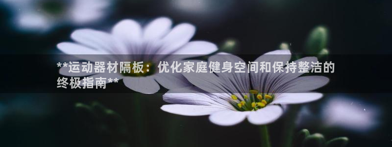 尊龙凯时 - 人生就是搏!：**运动器材隔板：优化家