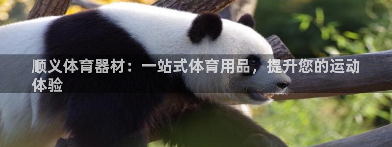 尊龙凯时人生就是博官网登录：顺义体育器材：一站式体育