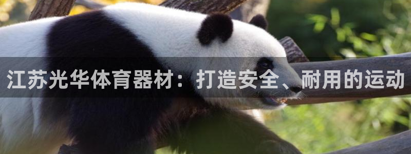 尊龙网站注册网：江苏光华体育器材：打造安全、耐用的运