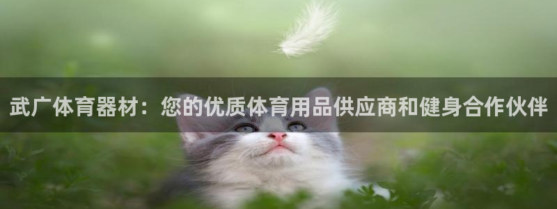 尊龙凯时人生就是博·(中国)：武广体育器材：您的优质