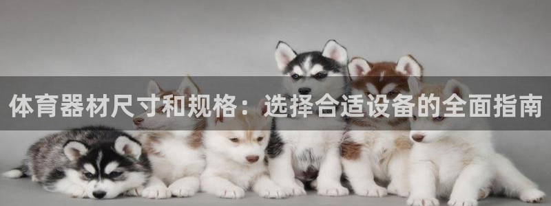 尊龙目前照片：体育器材尺寸和规格：选择合适设备的全面