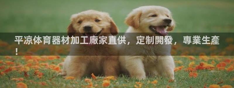 尊龙凯时美金能提取吗：平凉体育器材加工廠家直供，定制