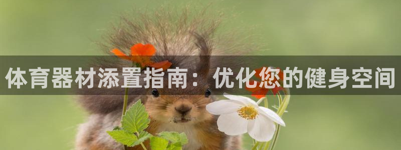 z6尊龙凯时集团：体育器材添置指南：优化您的健身空间