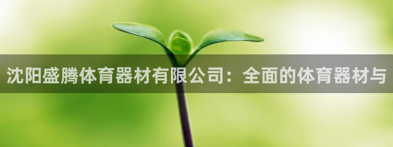 凯时app官网首页：沈阳盛腾体育器材有限公司：全面的