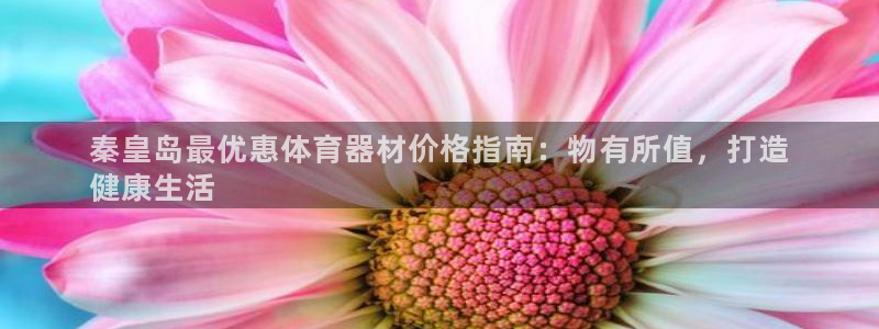 尊龙d88手机版下载：秦皇岛最优惠体育器材价格指南：